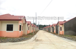 Apohighland Catalunan Grande