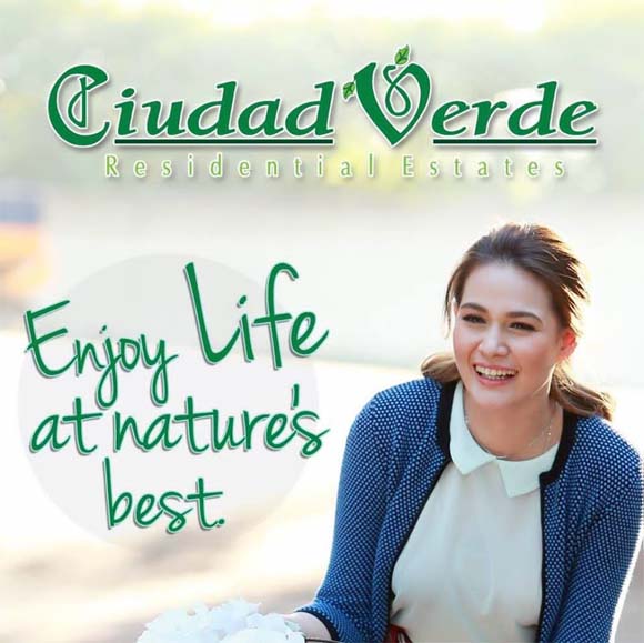 LOT for Sale at CIUDAD VERDE Davao City