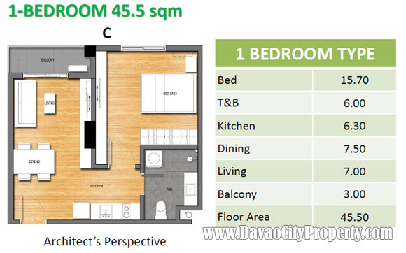 1-Bedroom-C-Floor-Plan-Mesatierra-garden-residences-affordable-low-cost-condo-in-jacinto-davao