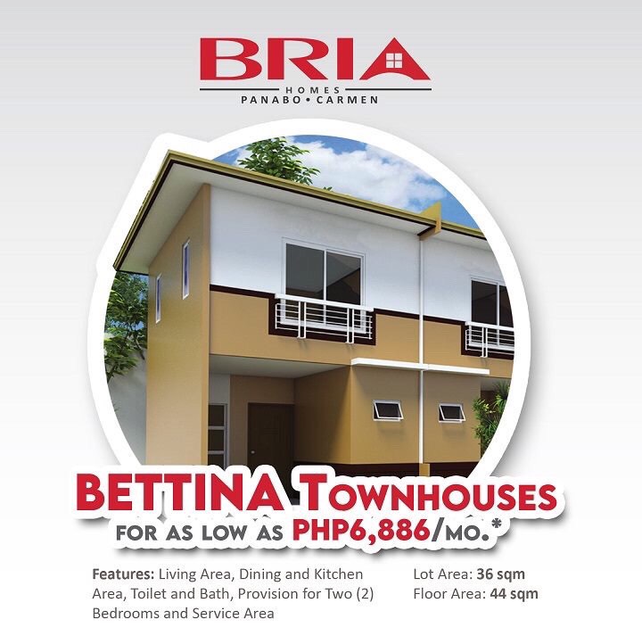 house and lot for sale at bria homes panabo carmen davao