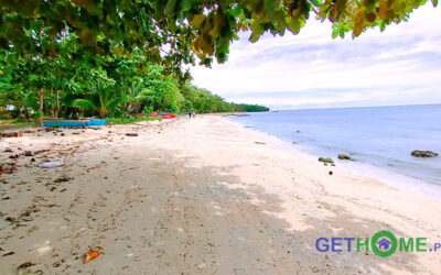 4 Hectares White Sand Beachfront Lot For Sale in Governor Generoso